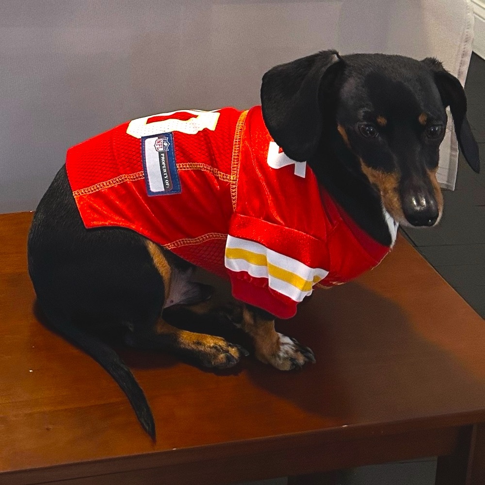 Kansas City Chiefs Dog Jersey | Size Small